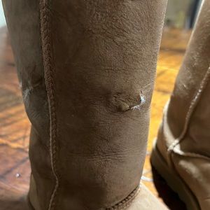 Brand new authentic 💯 Ugg